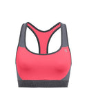 Champion The Absolute Workout Sports Bra