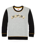 Hanes Boys' Graphic Fleece Colorblocked Sweatshirt