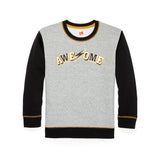 Hanes Boys' Graphic Fleece Colorblocked Sweatshirt