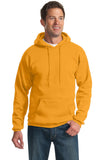 pullover hooded sweatshirt